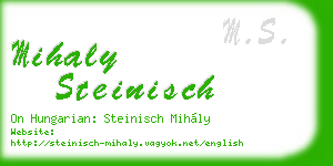 mihaly steinisch business card