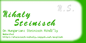 mihaly steinisch business card